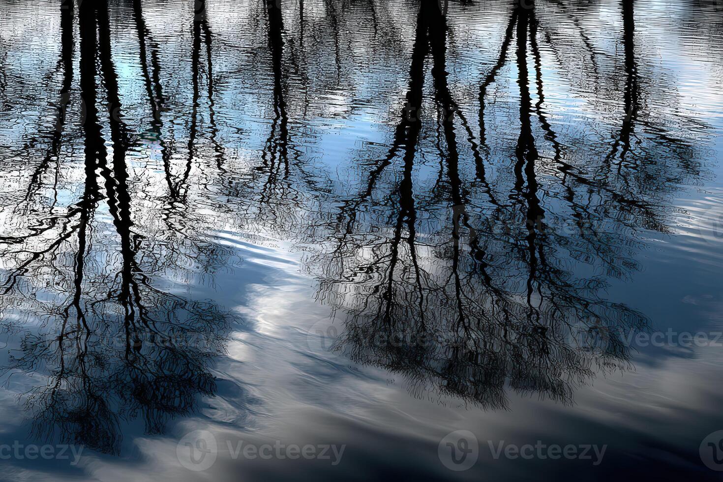 Tree silhouettes reflected on the surface of a calm pond photo