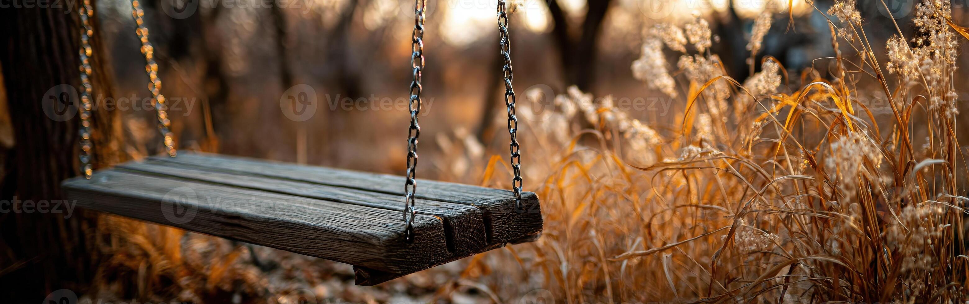 Old wooden swing hangs in an overgrown autumn field photo
