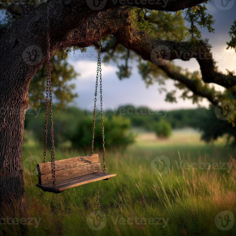 Tree swing hanging from oak branch in green field photo