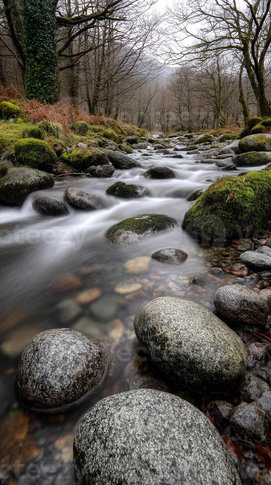 Tranquil stream flows through rocky autumn forest in Nant Gwynant photo