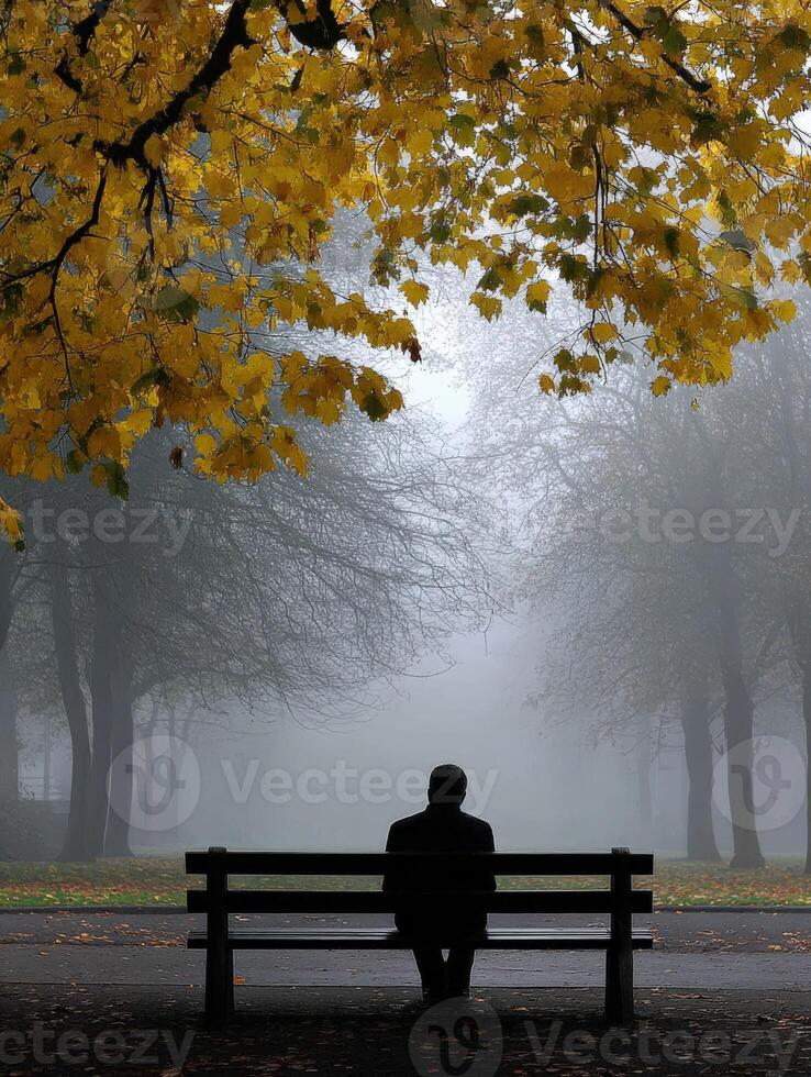 Man sits on bench in foggy park during autumn photo