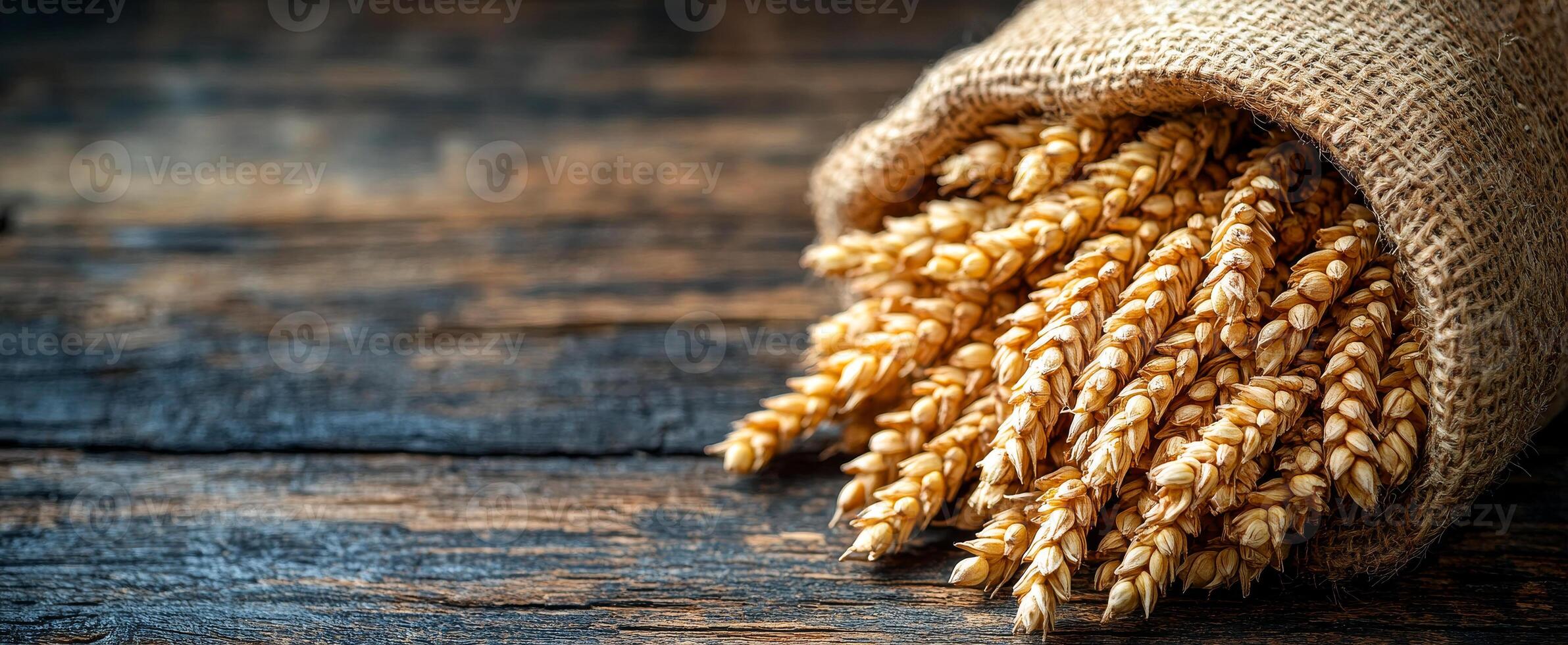 Wheat stalks spilling from a burlap bag. Dried wheat stalks cascade from a burlap sack, resting on a rustic wooden surface, showcasing a harvest theme. photo