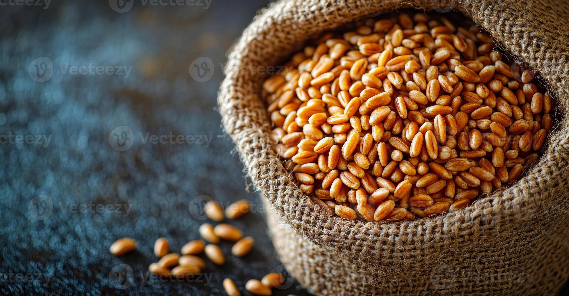 Wheat in burlap sack. Golden wheat grains fill a burlap sack on a rustic dark surface, highlighting their natural texture and warmth. photo