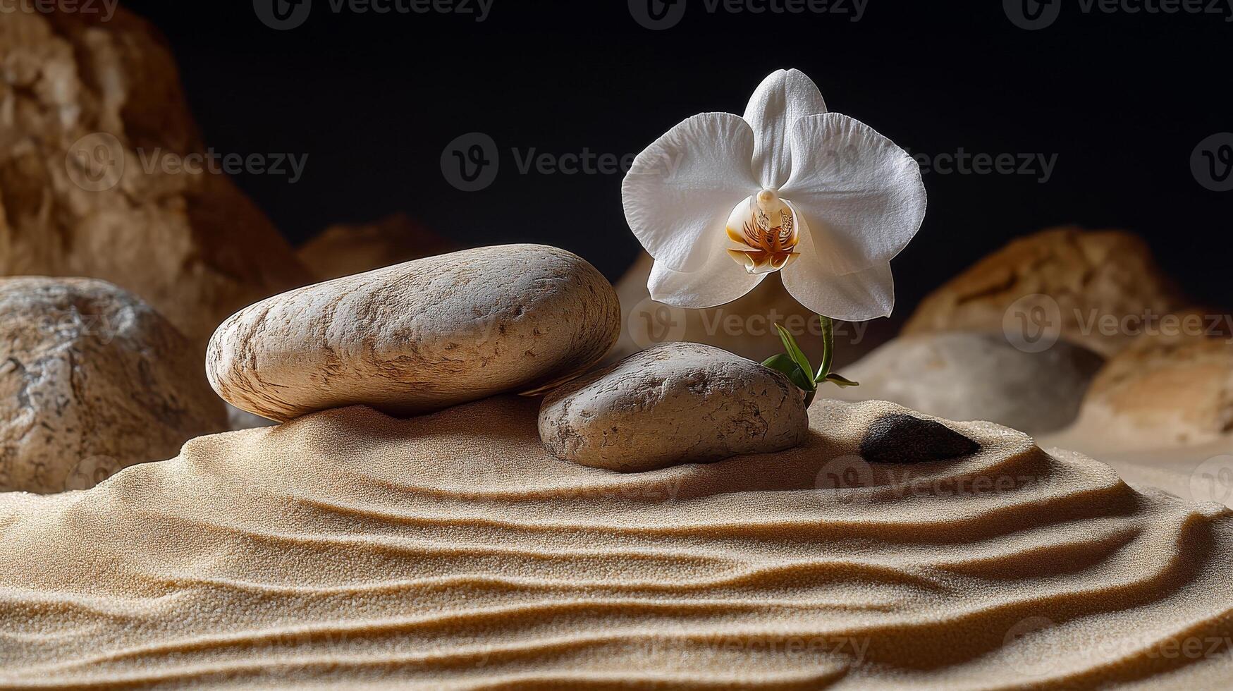 Orchid and rocks in sand. A white orchid stands gracefully on smooth stones in a tranquil sand setting, evoking a serene atmosphere. photo