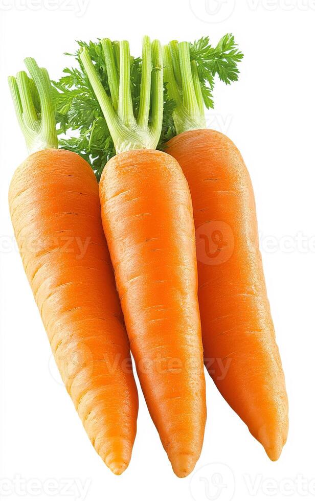 Fresh carrots for eating. Three bright orange carrots with green tops on a white background, ideal for healthy recipes or snacks. photo