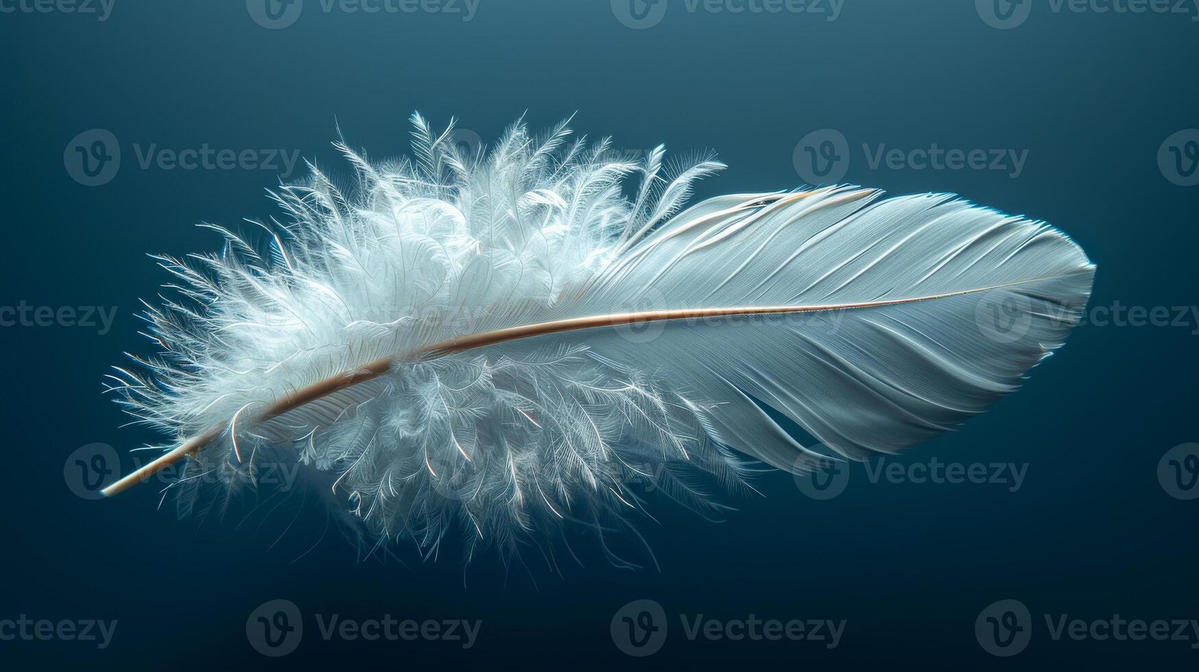 Elegant white feather floating in water. A delicate white feather with soft plumage drifts gracefully in calm water, reflecting its fine details. photo