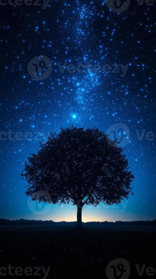 Starry night sky above a solitary tree. A large tree stands alone against a vast, star-filled sky at twilight, creating a serene and peaceful atmosphere. photo