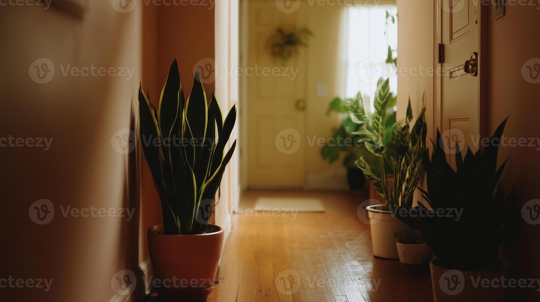 Green plants adorn a cozy hallway in a bright home with warm wooden floors and sunlight streaming through the door photo