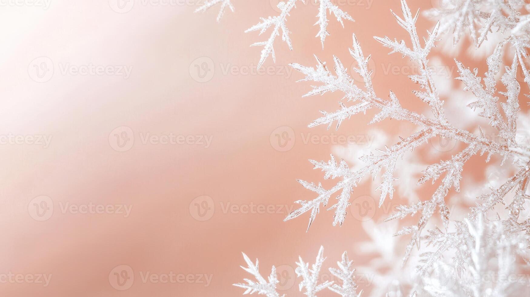 Sparkling white falling snowflakes warm, gently against a soft, christmas pinkish background create a magical winter scene photo