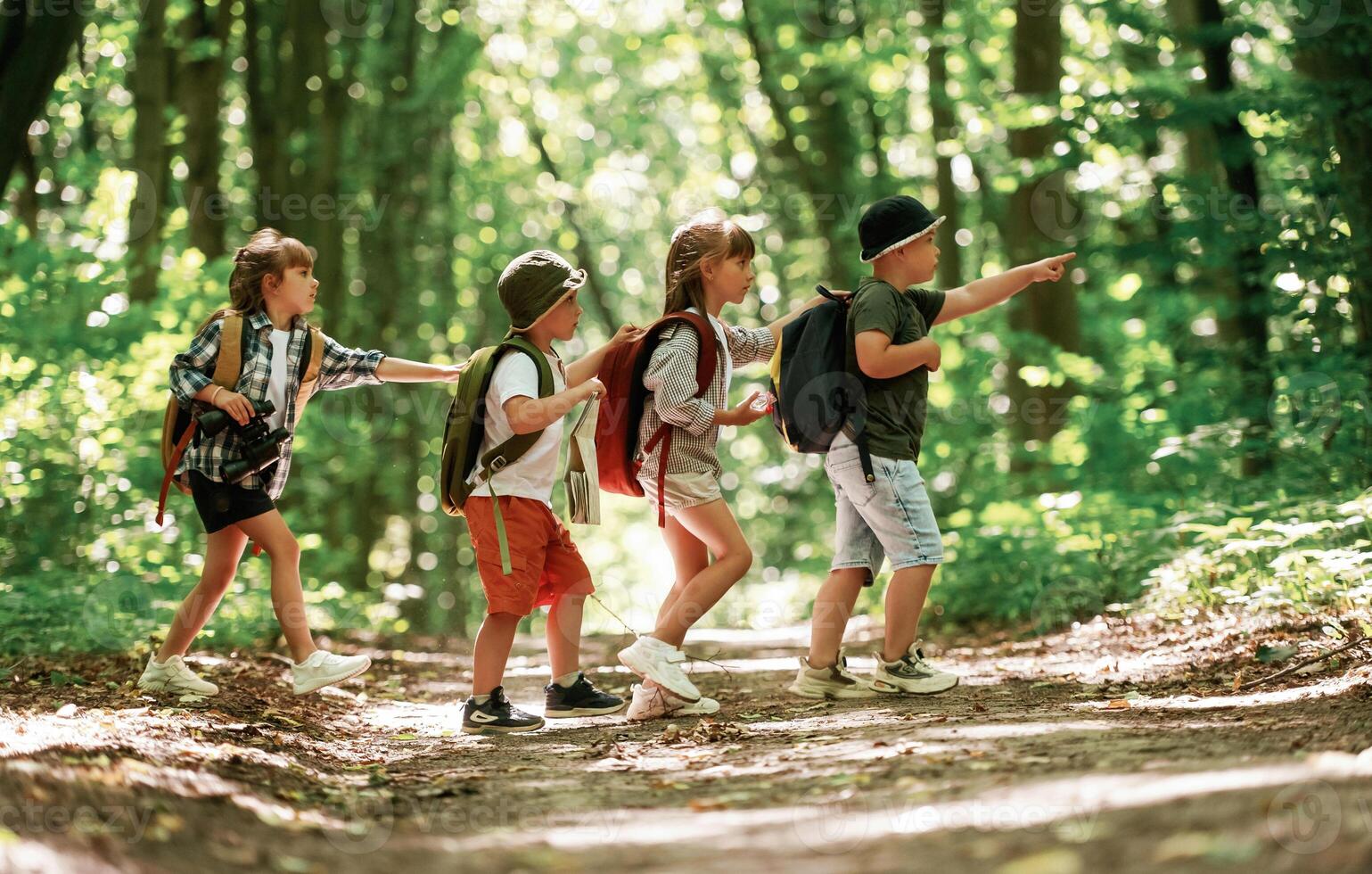 Going to the side. Kids in, forest ,at ,summer daytime together photo