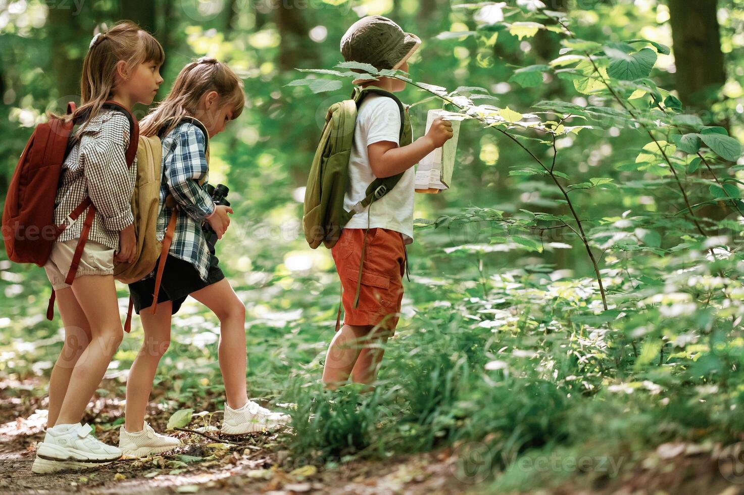 Two girls ,and ,a boy. Kids in forest at summer daytime together photo
