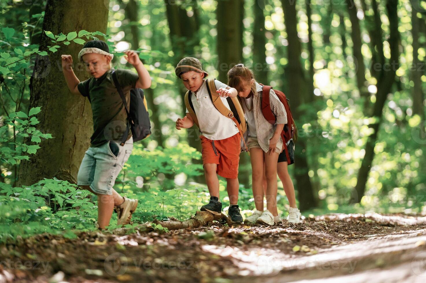 Going ,on the pathway.. Kids in forest at summer daytime together photo