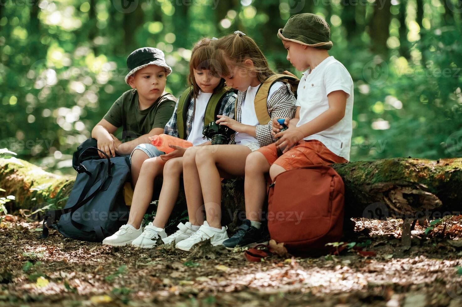 Sitting,, with, camera and water bottle. Kids in forest at summer daytime together photo