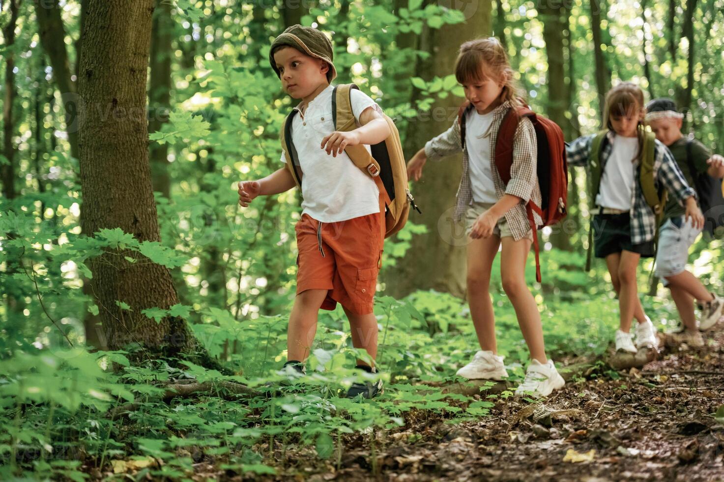 Adventure, time. Kids in forest ,at summer daytime together photo