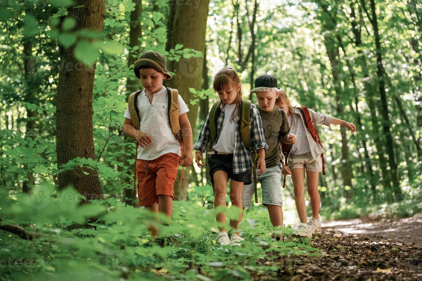 Adventure ,time. Kids in forest at summer daytime together photo