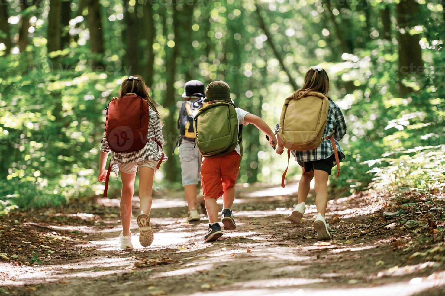 View, from the back. Kids in forest at, summer daytime together photo