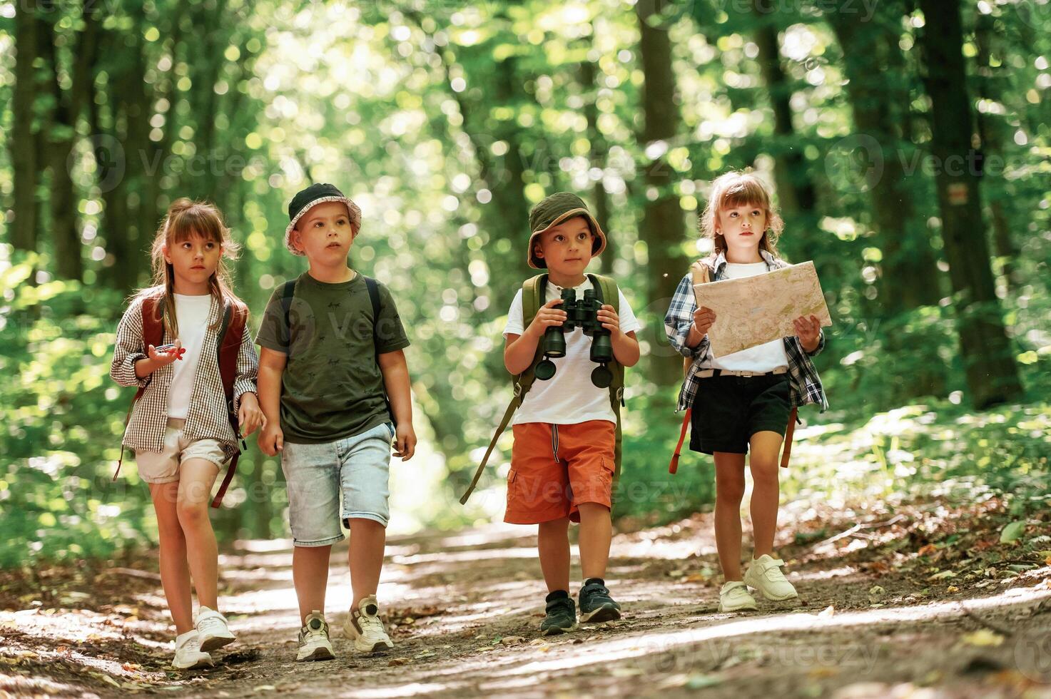 Walking, together. Kids in forest at summer daytime photo
