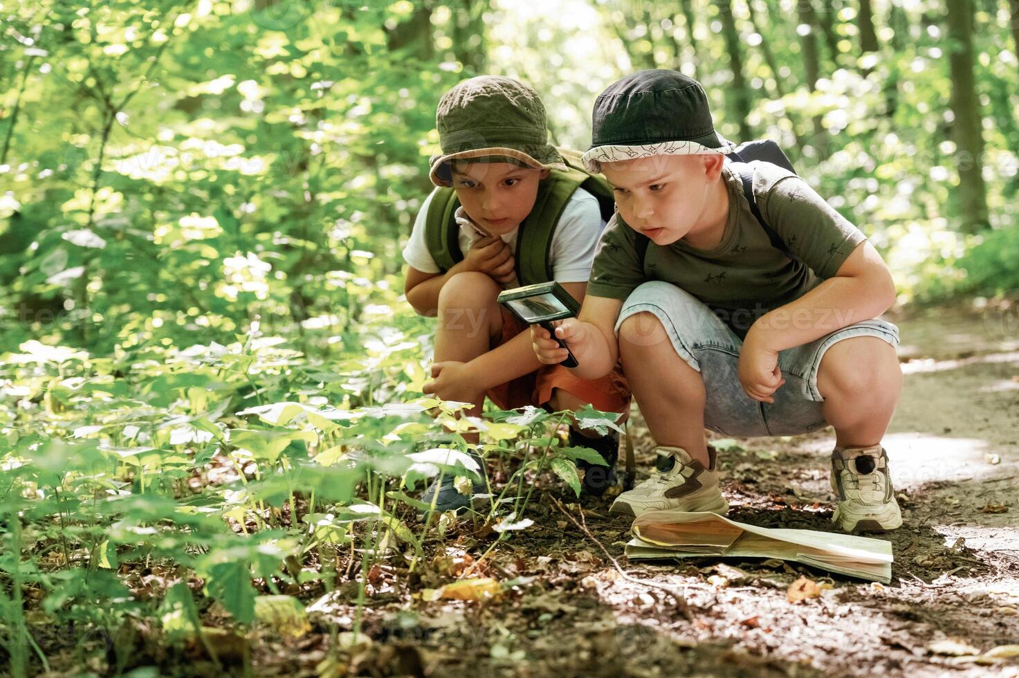 Kids in, forest at summer daytime together. photo