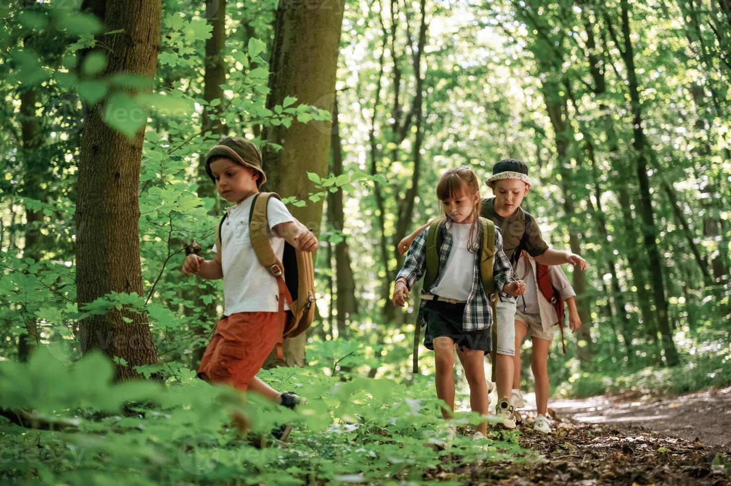 Bunch, of green plants and leaves. Kids in forest at summer daytime together photo