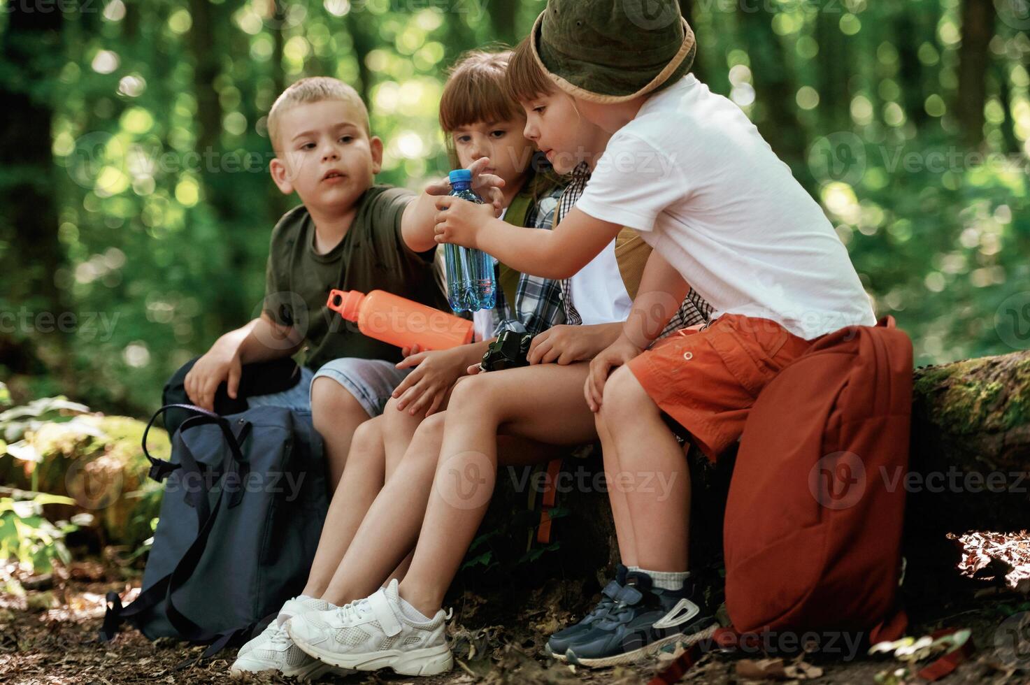 Kids in, forest at summer daytime, together photo
