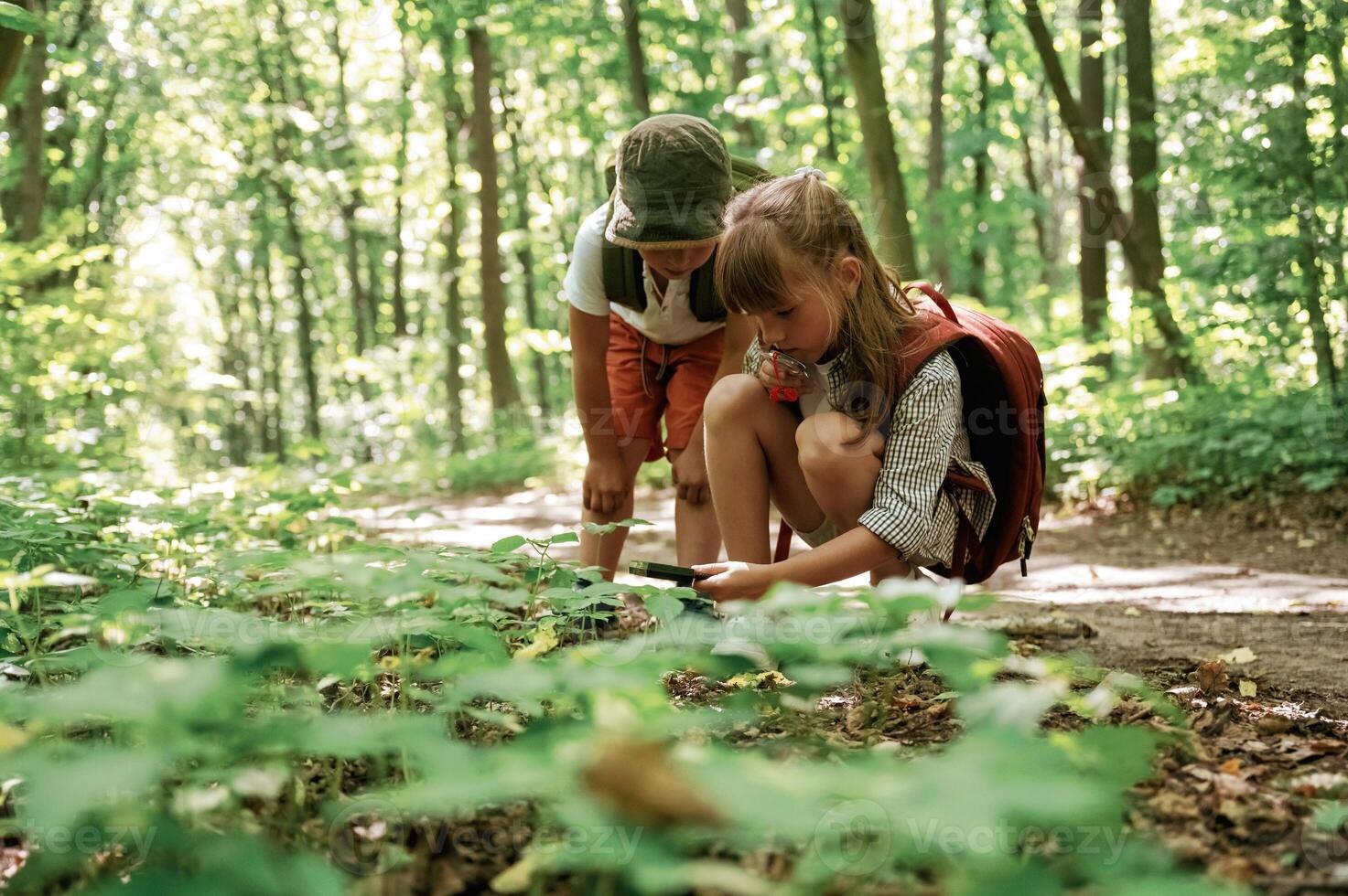 Sitting,, looking at the plants. Kids in forest at summer daytime together photo
