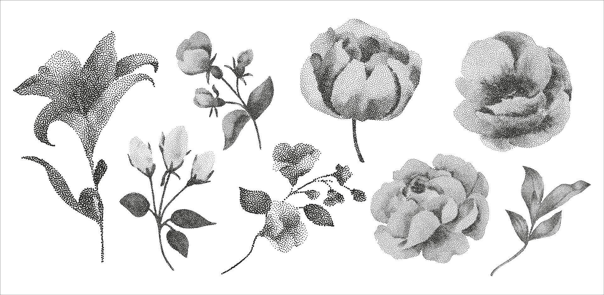 A drawing of flowers in black and white vector