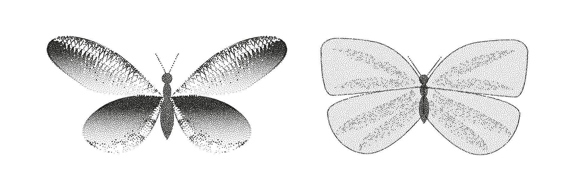 Two black and white drawings of butterflies vector