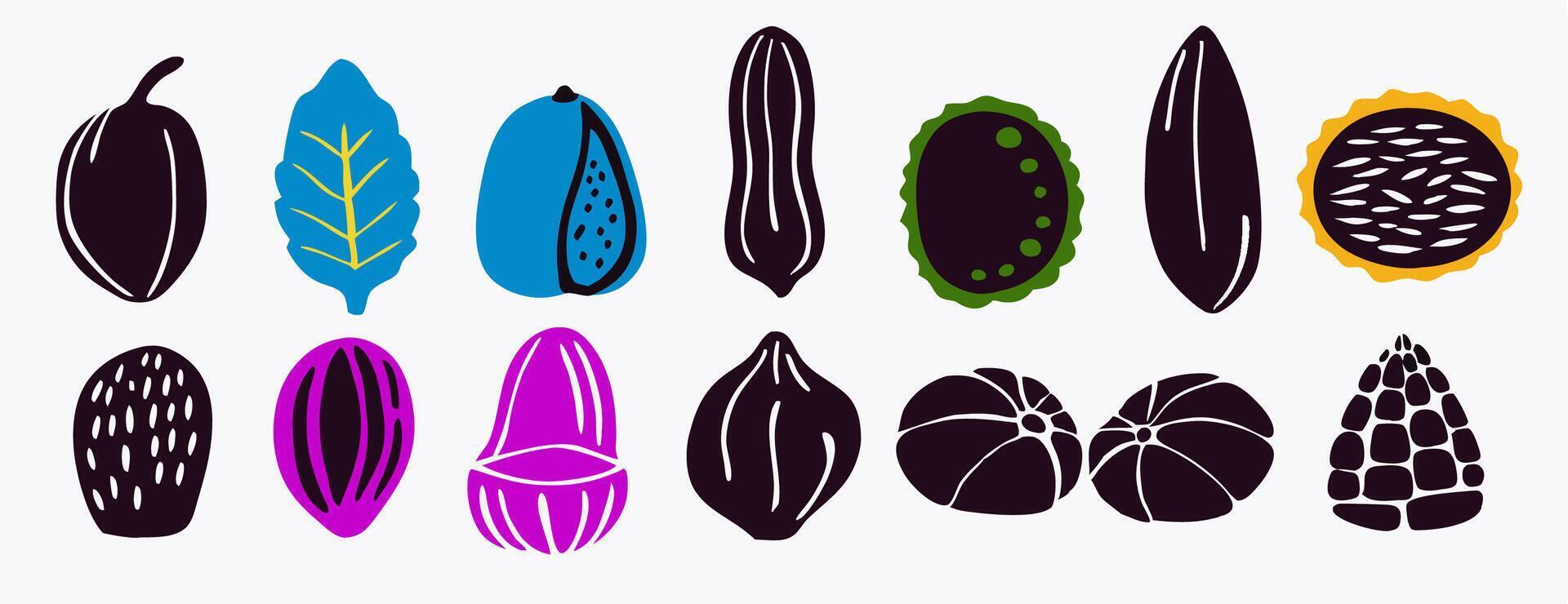 Collection of Colorful Seed and Nut Silhouettes vector