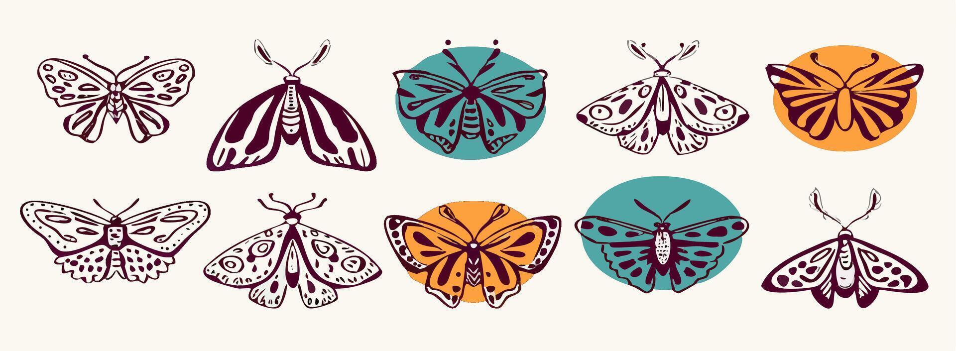Collection of Hand Drawn Butterfly and Moth Illustrations vector