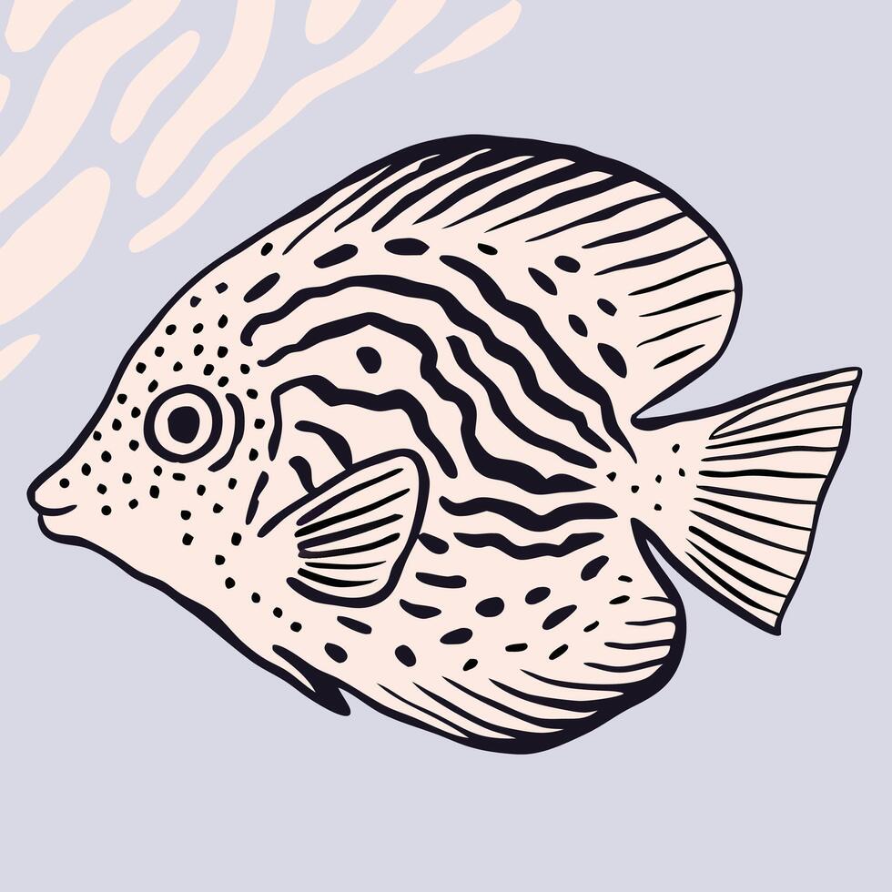 Pink and Black Angelfish Illustration, Aquatic Life Drawing vector
