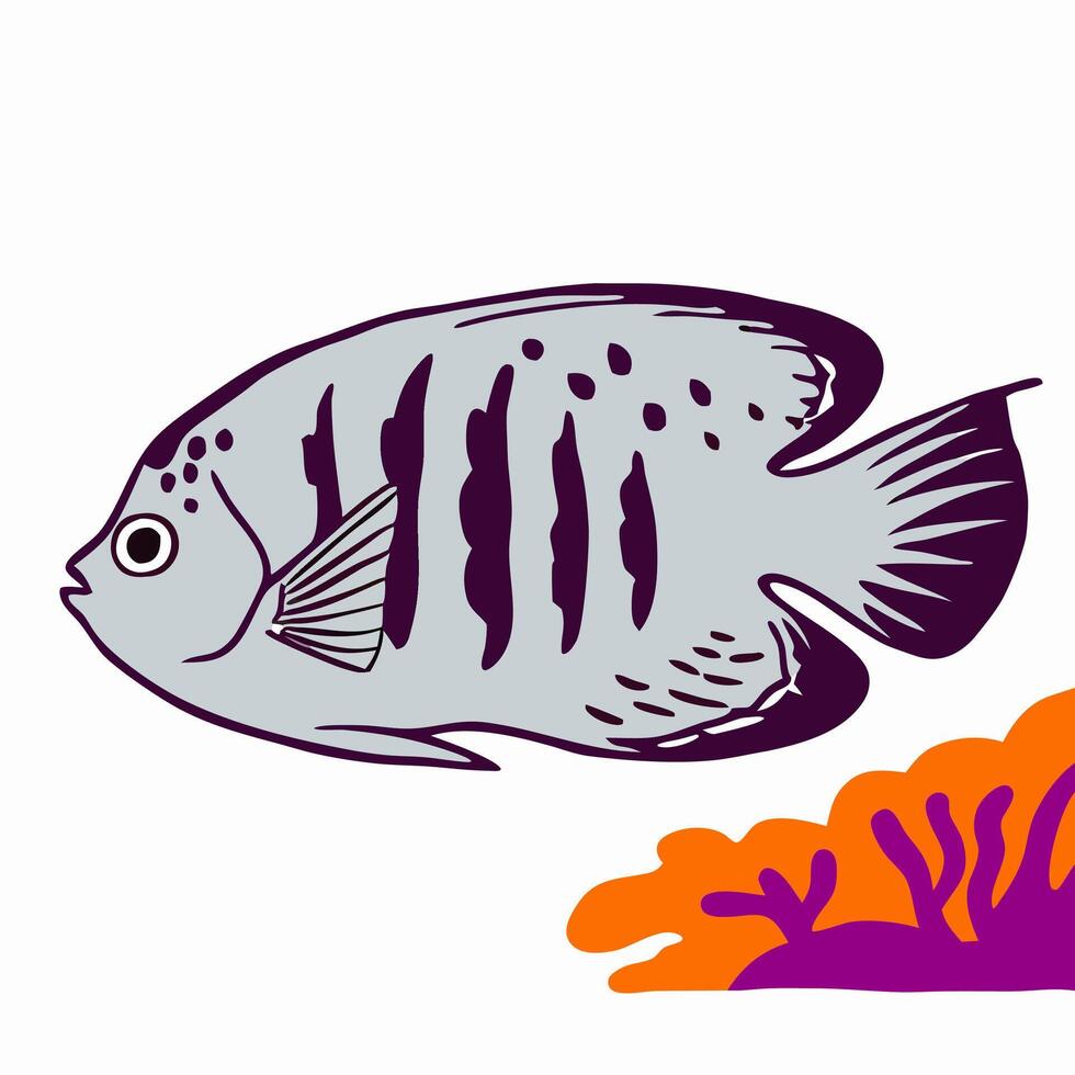 Grey Angelfish Illustration with Coral Reef vector
