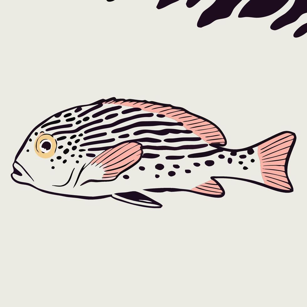 Illustration of a Striped Fish with Pink Fins vector