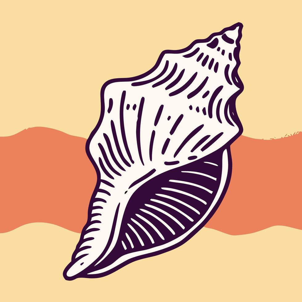 Seashell illustration, summer beach graphic, conch shell drawing vector