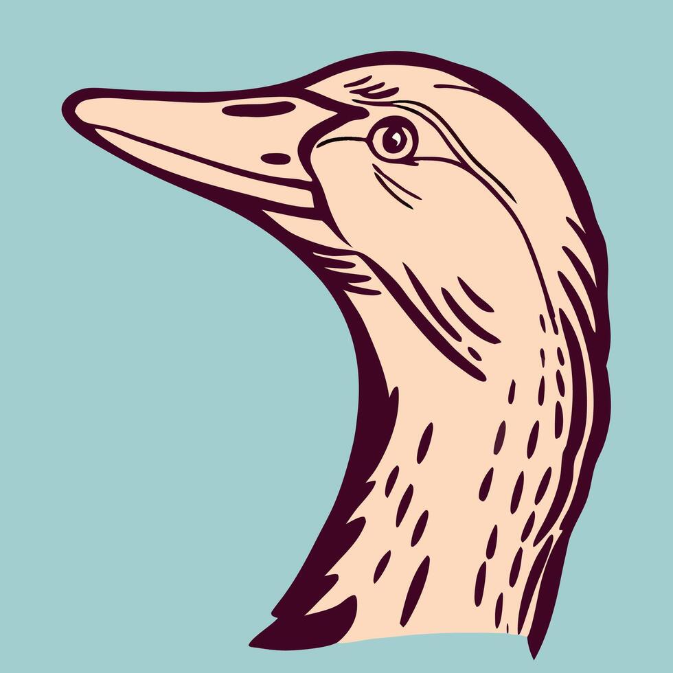 Goose Head Profile Drawing Elegant Bird Illustration vector