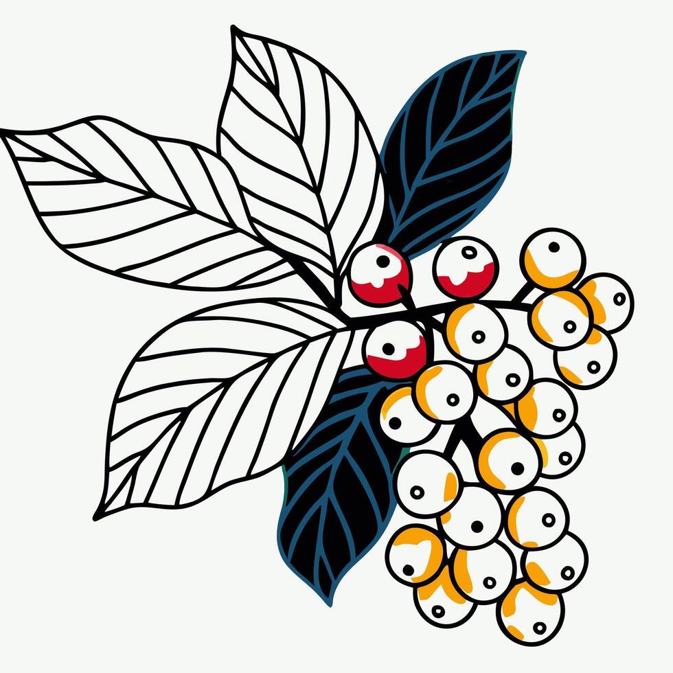 Stylized Berries and Leaves Branch Graphic Design Element vector