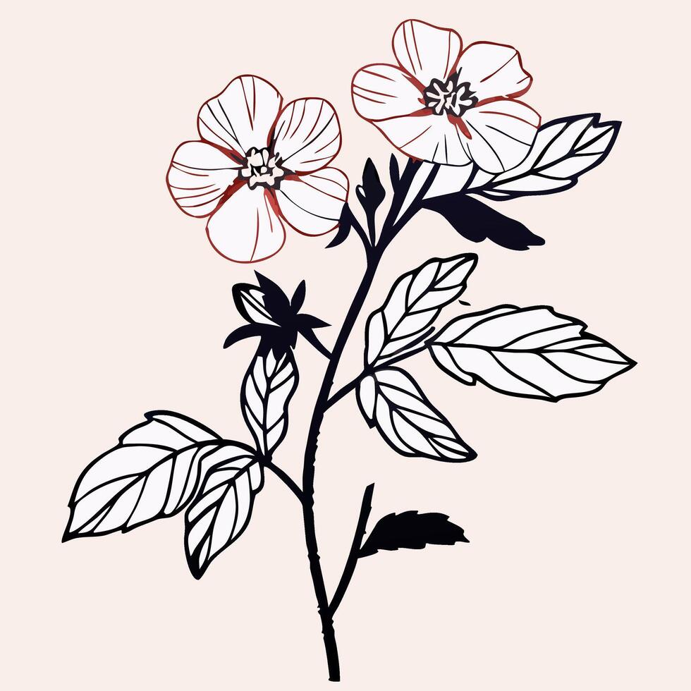 Elegant Line Art Floral Design Two White Flowers with Black Leaves vector