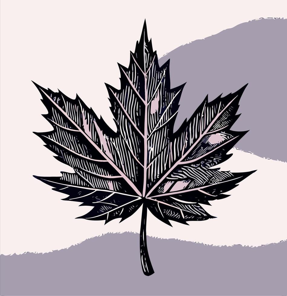 Stylized Black and White Maple Leaf Illustration vector
