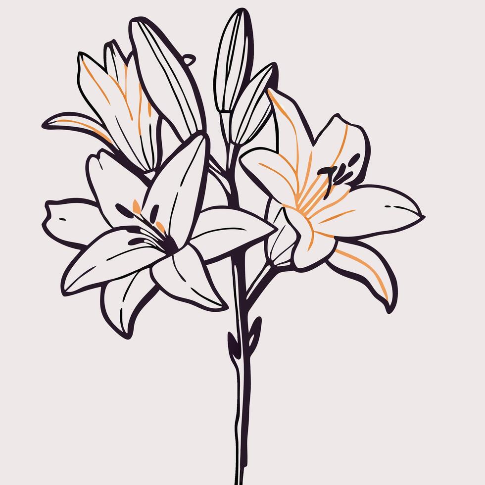 Elegant Line Art Lilies Flower Illustration vector