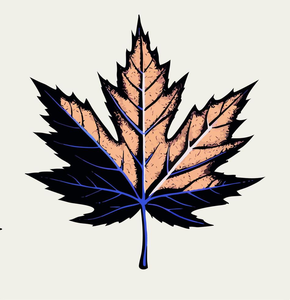 Stylized Autumn Maple Leaf Illustration vector