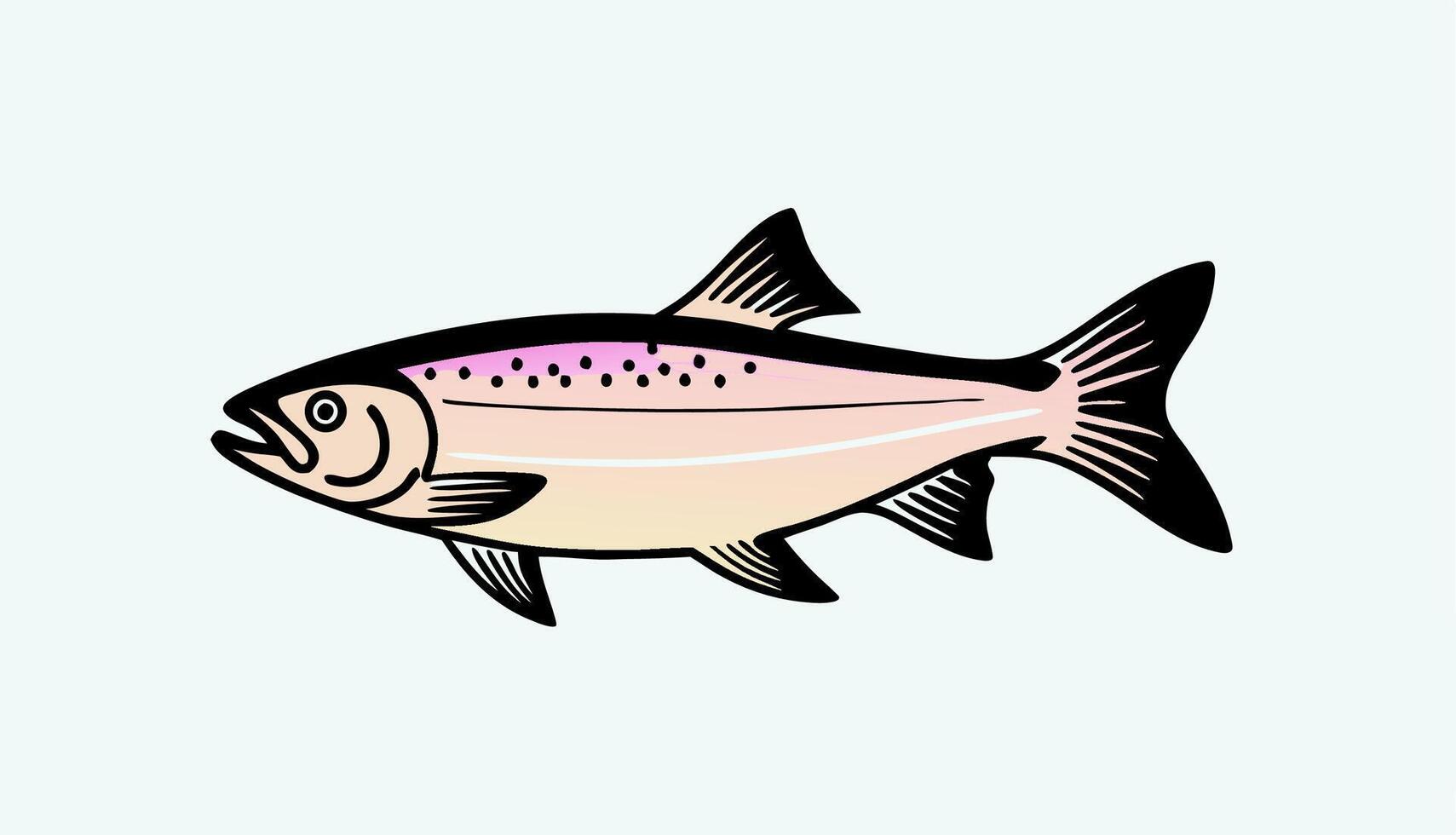 Salmon Fish Illustration, Pink and Orange, Line Art vector