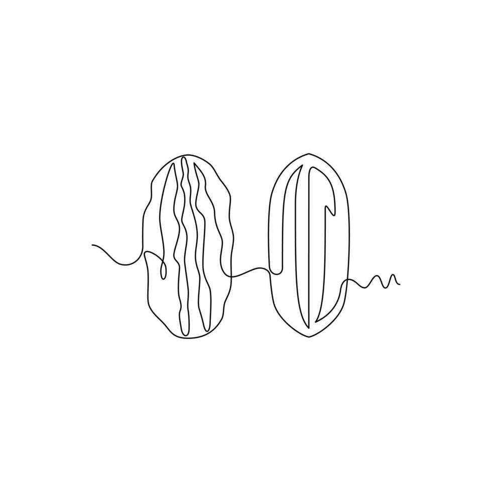 one line art Pecan Nut illustration. line art, one continuous line, simple, hand drawn and sketch style. for icons, symbols, signs or logos vector