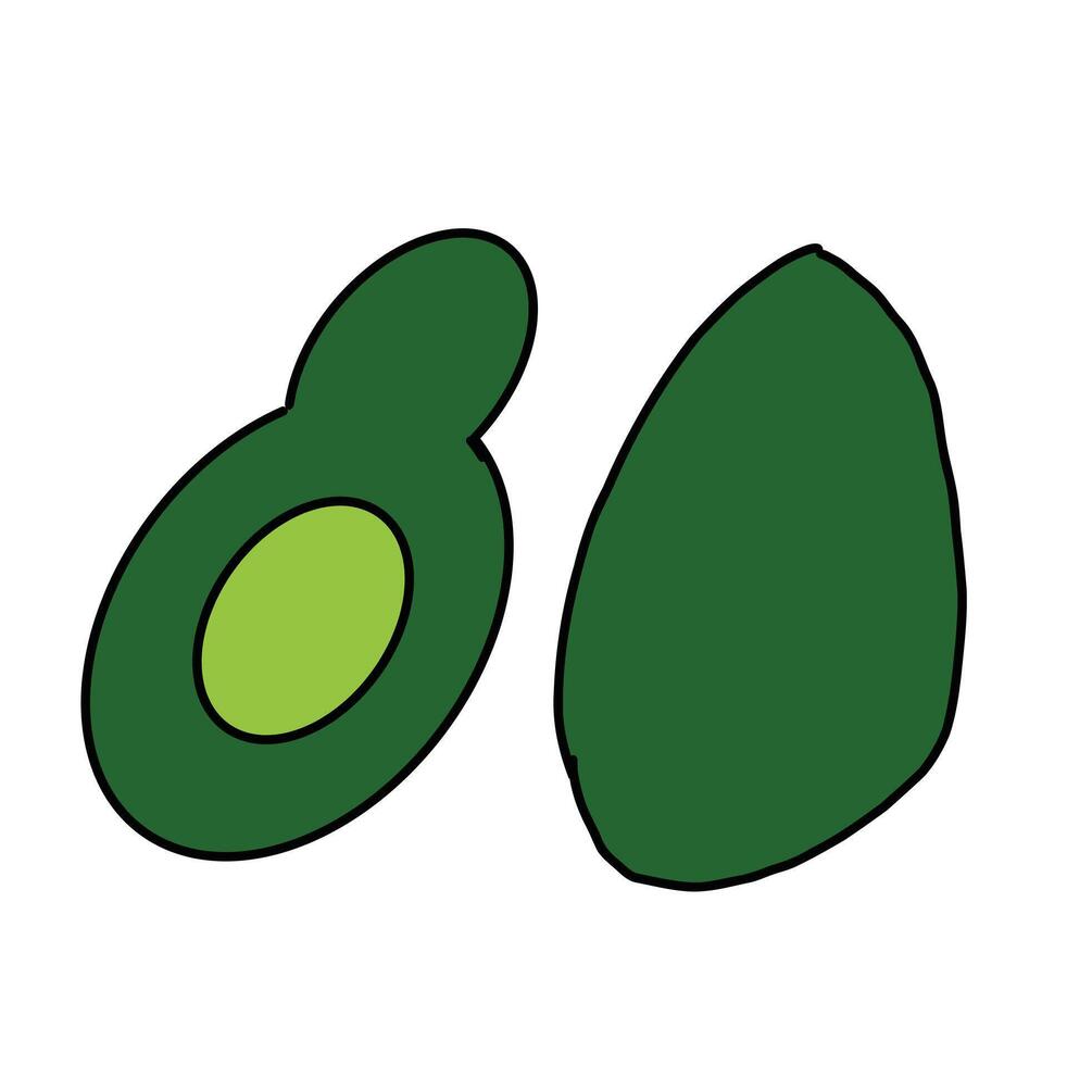 Avocado fruit on white background. Cartoon Style Illustration vector