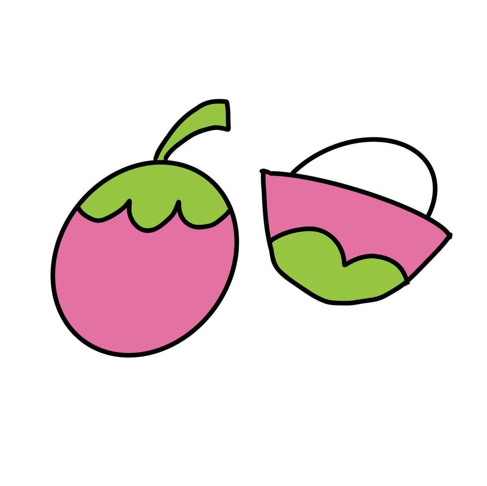 Mangosteen Fruit on white background. Cartoon Style Illustration vector
