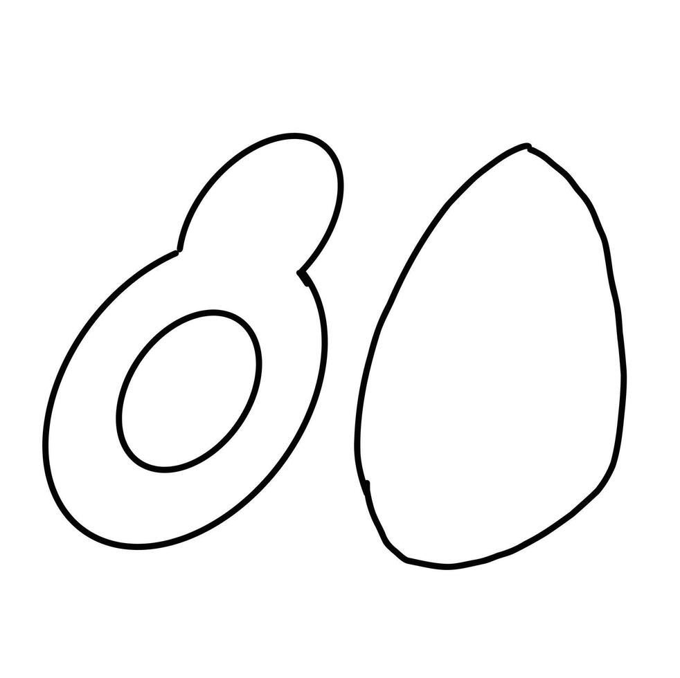 black and white line. Avocado fruit on white background. Cartoon Style Illustration vector