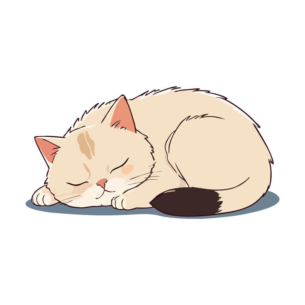 Sleeping cute cat vector