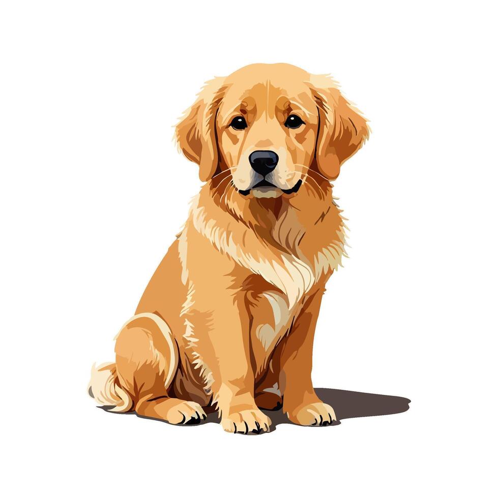 Cute golden retriever puppy sitting vector