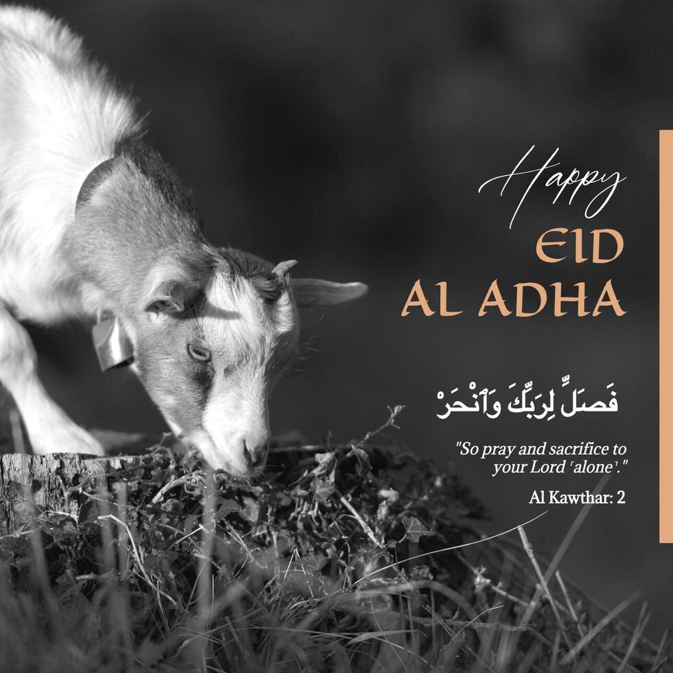 Happy Eid Al Adha Instagram Post template