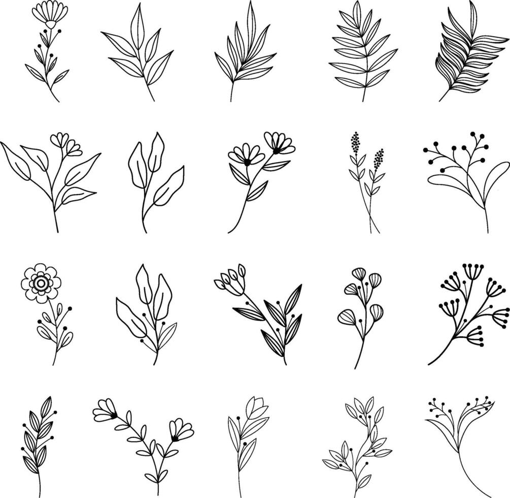 Hand-Drawn Flower Icons Set Botanical Illustrations, Floral Clipart, Cute Doodle Elements vector