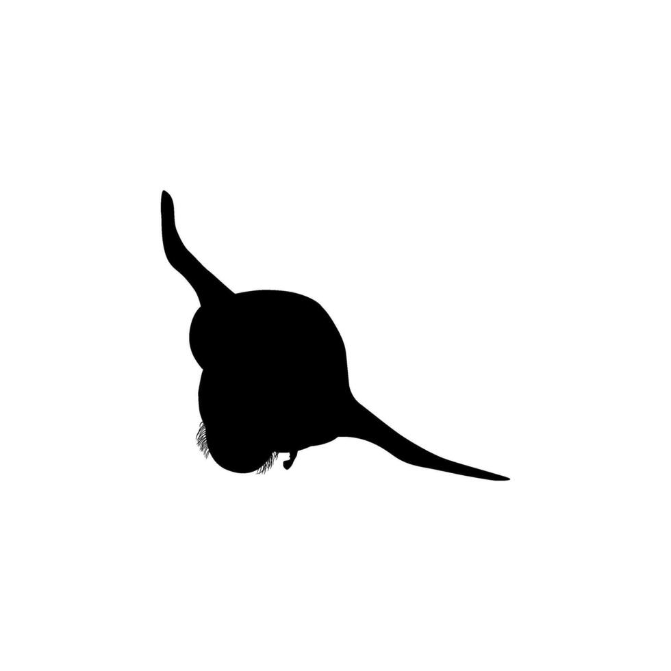 Silhouette or the Pinnipeds, Sea Lions. Flat style vector