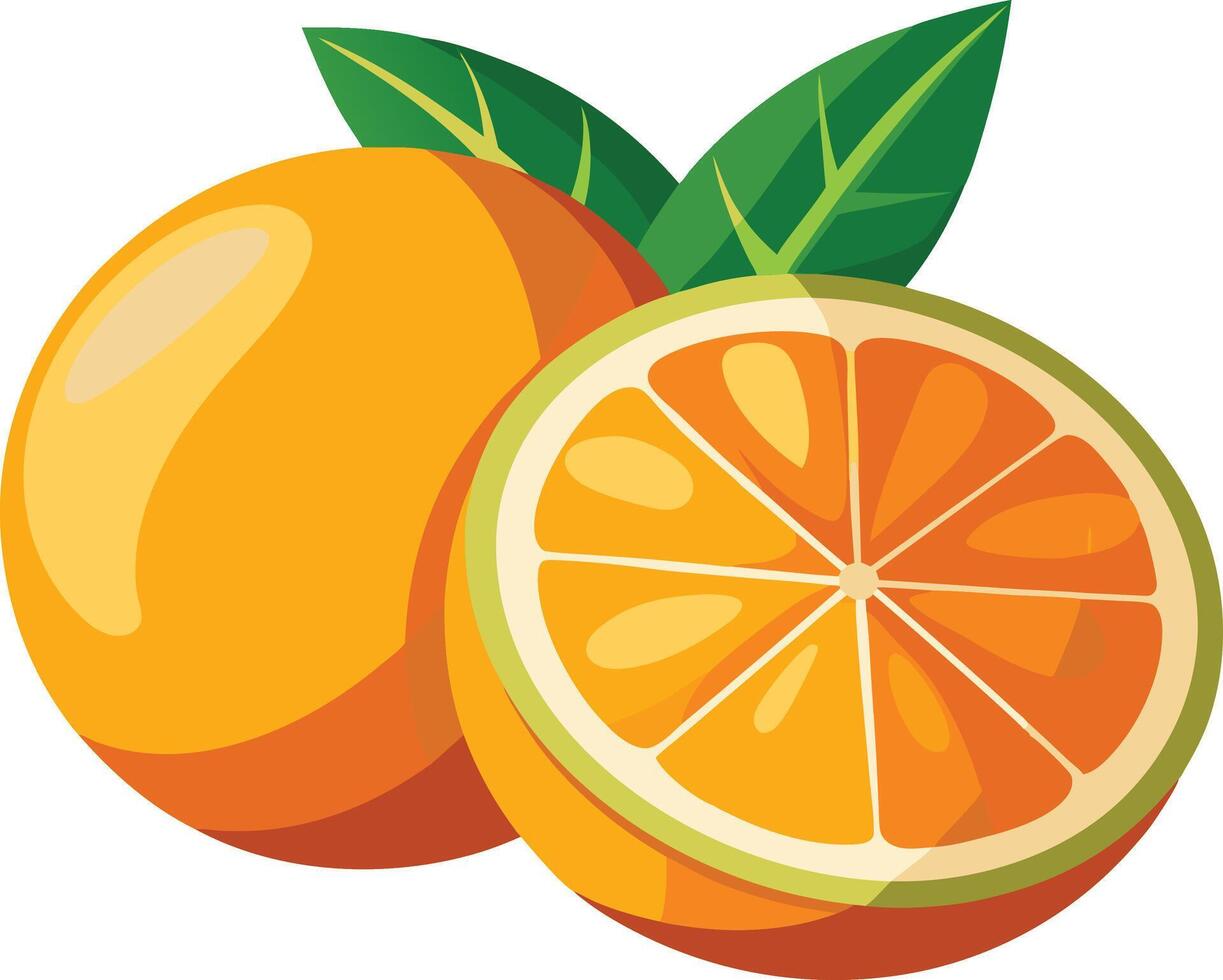 Graphic illustration style, Whole oranges and slices, Fresh green leaves, Minimalist design, White background, vector